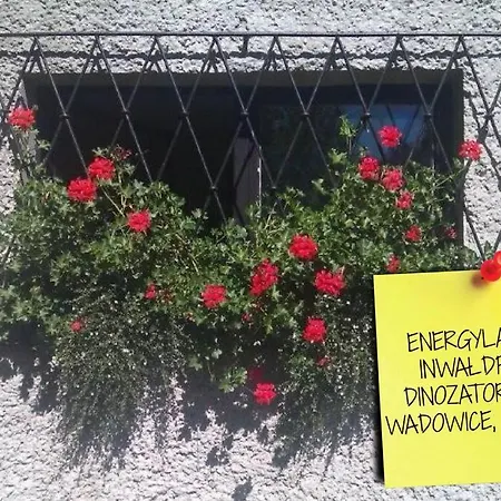 Apartament - Przyjazny Rodzinie I Seniorom Beskid Maly