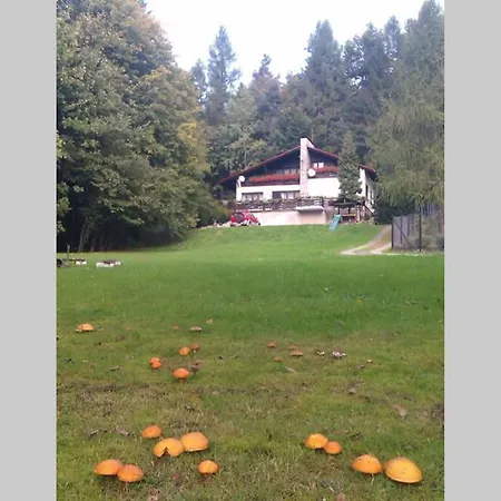 Apartament - Przyjazny Rodzinie I Seniorom Beskid Maly Apartment