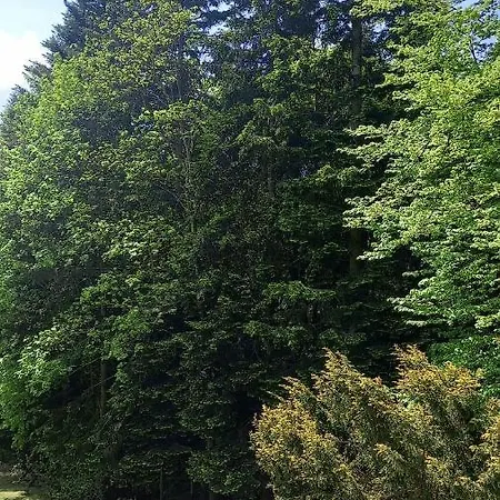 Apartment Apartament - Przyjazny Rodzinie I Seniorom Beskid Maly *
